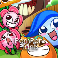 Pom Pom Plants